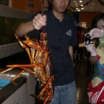 Lobster