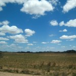 Landschaft