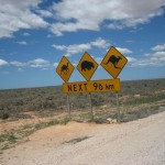 Unique Road Sign